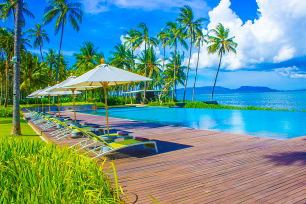istock Beautiful tropical beach front hotel resort with swimming pool, umbrella, coconuts tree sun-loungers, palm trees during a warm sunny day, paradise destination for vacations 1404820848