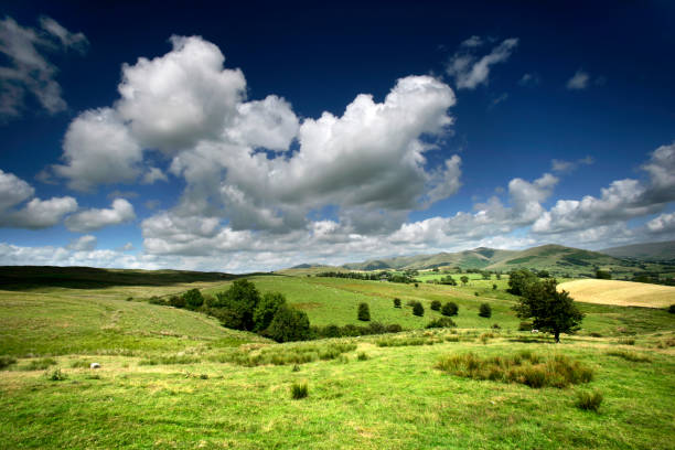 The Cotswolds region was designated as an Area of Outstanding Natural Beauty (AONB).
