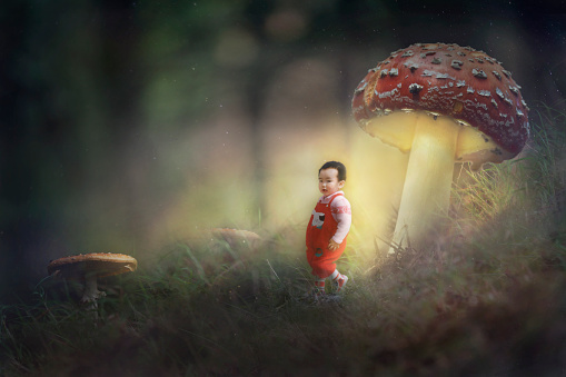 Composite image of a boy walking under glowing mushrooms in the forest. A fantasy fairy-tale image.