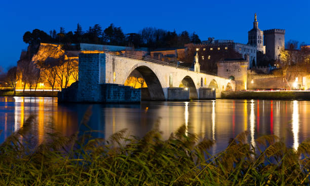 pont saint-benezet y la catedral de aviñón por la noche - winter scape fotografías e imágenes de stock