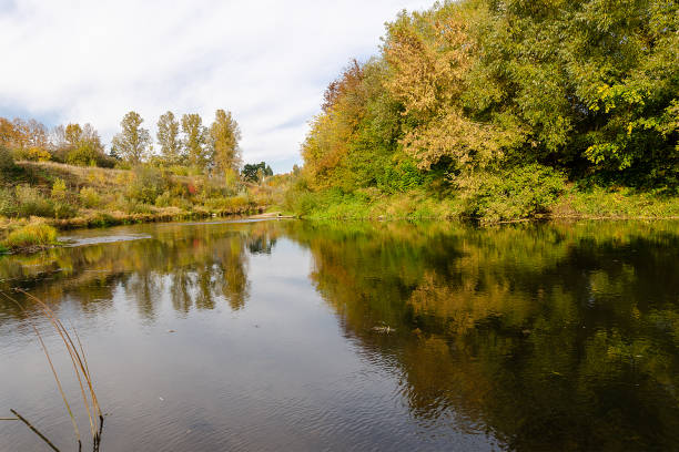 istock River flowing through the autumn forest. Autumn forest 1404829378