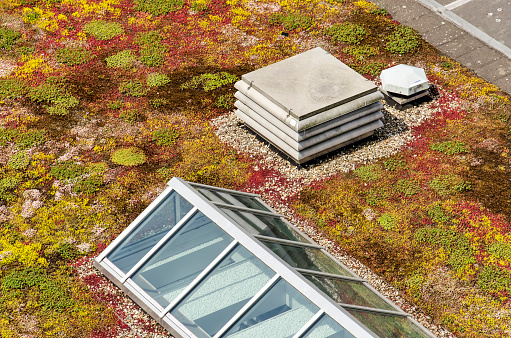 Colorful roof with variants kinds of sedum, a roof light and ventilation machinery