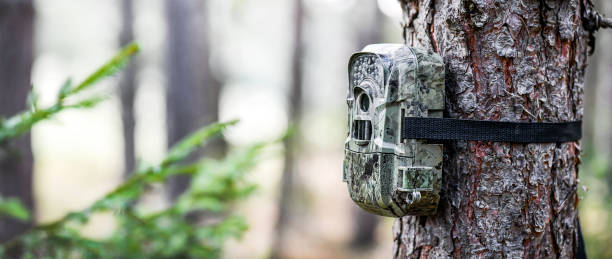 istock Camera trap or spy photo camera in forest. 1404833751