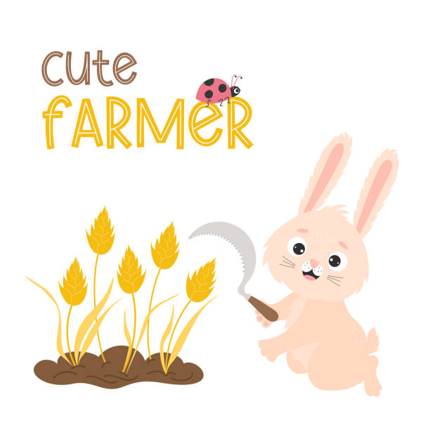 Cute rabbit farmer with sickle and reaps spikelets of wheat. Grain harvest. Vector illustration. For postcards, print, designs and decoration themes of agricultural and harvest. Cute rabbit farmer with sickle and reaps spikelets of wheat. Grain harvest. Vector illustration. For postcards, print, designs and decoration themes of agricultural and harvest agricultural themes stock illustrations