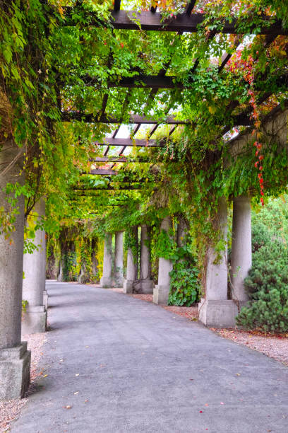 istock Beautiful concrete structure in the park with greenery. 1404834850