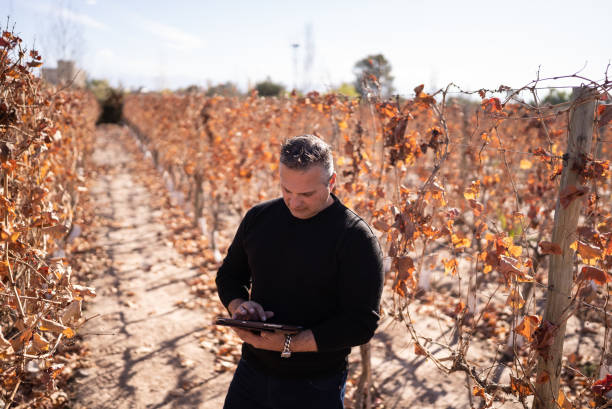 istock Mature man working on a digital tablet at a vineyard 1404835248