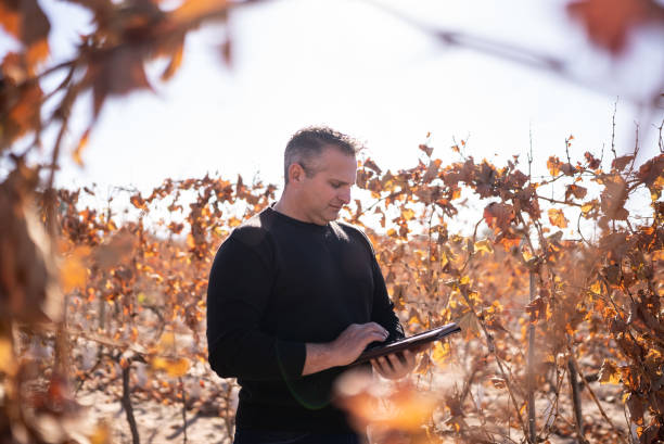 istock Mature man working on a digital tablet at a vineyard 1404835276