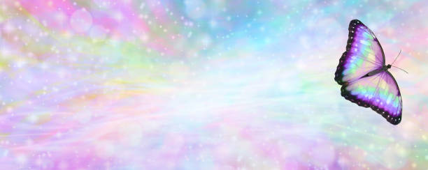 istock Feminine Multicoloured Butterfly  Message Banner 1404836188