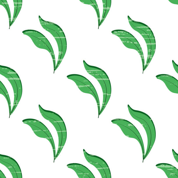 leaves white-green plant ornament Vector illustration with green twigs, textured. Cute natural background. hosta plants pics stock illustrations