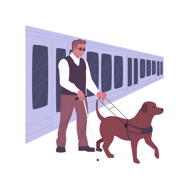 77 Guide Dog Training Illustrations & Clip Art - iStock | Guide dog puppy,  Service dog, Service animal