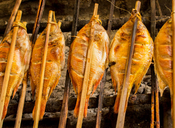 istock grilled fish, grilled fish nile Tilapia grilled on hot charcoal 1404842264