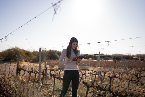Mid adult woman working on a digital tablet at a vineyard