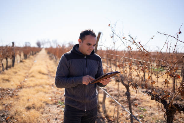 istock Mid adult man working on a digital tablet at a vineyard 1404845035