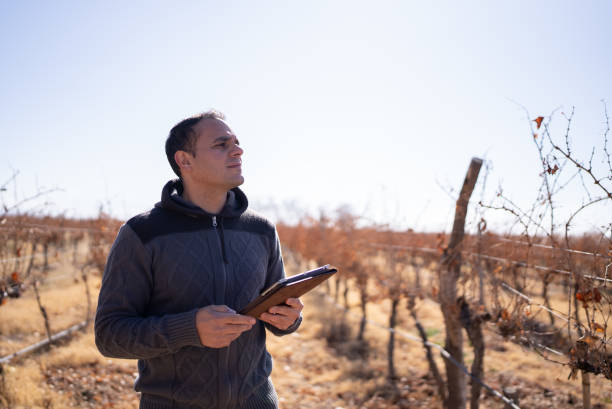 istock Mid adult man working on a digital tablet at a vineyard 1404845076