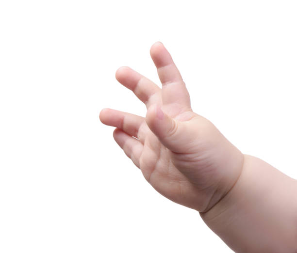 Cтоковое фото Маленькая детская рука изолирована на белом