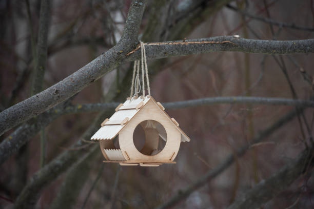 Wooden bird feeder on tree at the park