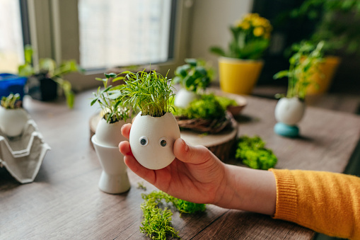 Funny face on eggshell with carrot sprouts with toy stickers eyes. Creative fun DIY idea for festive Easter decoration. Selective focus.