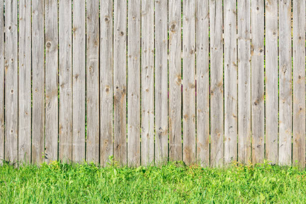 istock Green grass along the fence. 1404854699