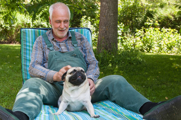 istock Lunch break with pugs in the garden. 1404855920