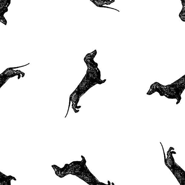ilustrações de stock, clip art, desenhos animados e ícones de seamless background of silhouettes drawn funny dachshunds - dachshund