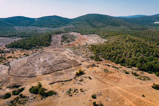 Aerial View Deforestation Area