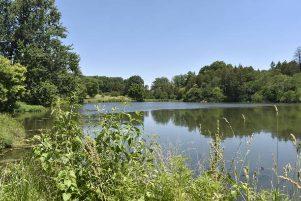 istock Lake Marmo in Summer 1404868332