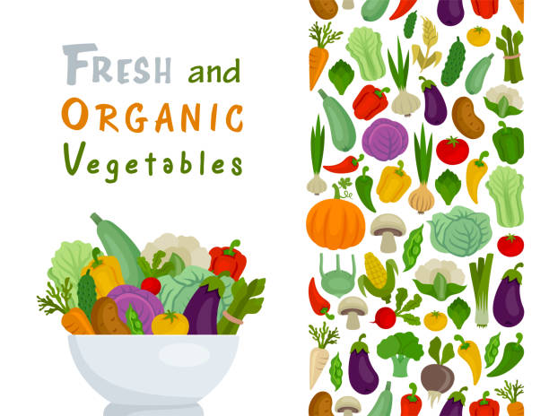 야채 그릇. 비건 음식. 신선한 야채의 원활한 패턴. 수직 배너. - eggplant vegetable food white background stock illustrations