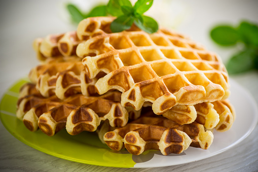 Sweet cottage cheese wafers with a sprig of mint in a plate, on a wooden table.