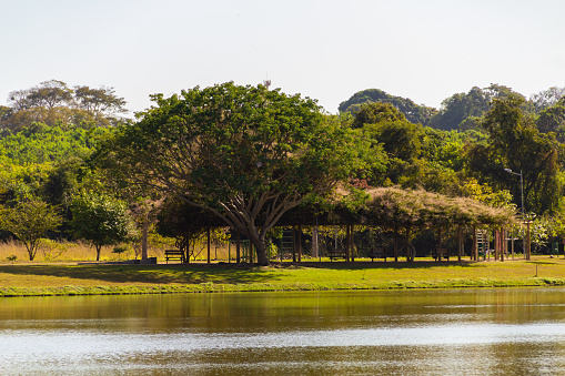 Goiania, Goiás, Brazil – June 20, 2022: Landscape. One of the views of Leolidio di Ramos Caiado Park in the city of Goiania.