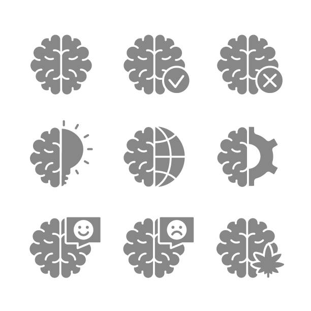 illustrations, cliparts, dessins animés et icônes de ensemble d’icône grise du cerveau humain. maladie des organes crâniens, évaluation, contrôle de la santé, diagnostic, symbole de traitement - organ mountain range