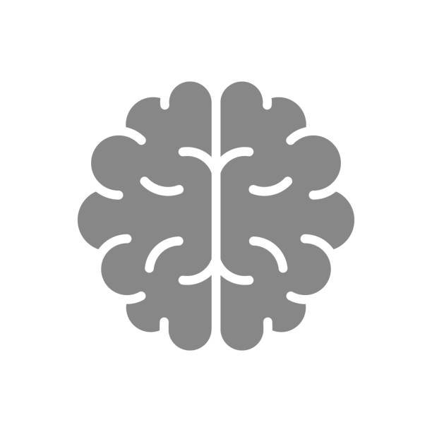 ilustrações de stock, clip art, desenhos animados e ícones de human brain gray icon. healthy organ symbol - brain human head people human internal organ