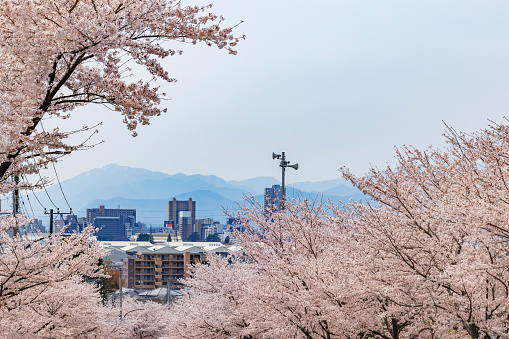 highrise buildings in seoul city, south korea.