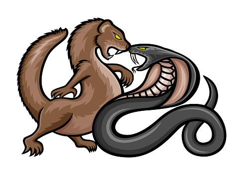Angry mongoose and cobra icon on white background.