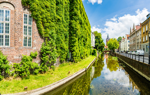 A street in the centre of the old town of Gdansk in a sunny summer day. View to the Ivy covered house and river, St.Catherine's Church on the background.