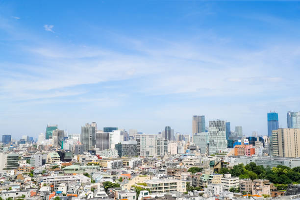 istock Rooftop View Cityscape of Tokyo skyline 1404887268
