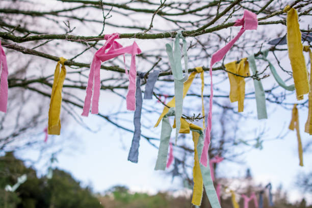 istock Colorful ribbons hanging on a tree branch 1404889558