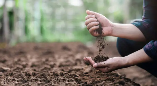 Photo of Farmer holding soil in hands close-up. Farmers' experts check soil conditions before planting seeds or seedlings. Business idea or ecology environmental concept