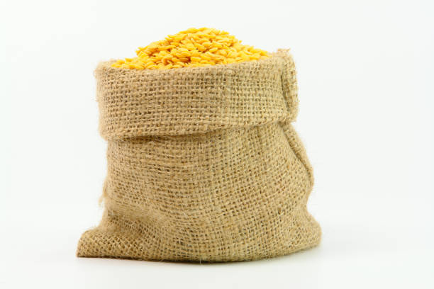 istock Yellow Lentils in gunny bag 1404895970