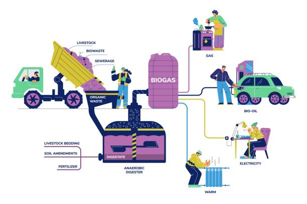 illustrations, cliparts, dessins animés et icônes de diagramme de division du biogaz avec digesteur générant du carburant gazeux, vecteur plat isolé. - anaerobic