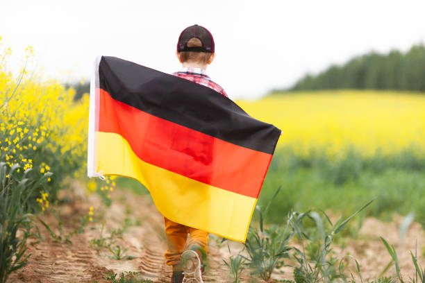 Little boy walking holding flag of Germany in the rapeseed field. Back view. stock photo