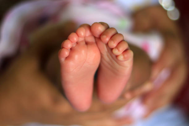 istock Cute baby feet 1404907758