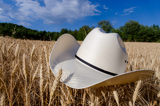 A white cowboy hat outdoors in a wheat field.