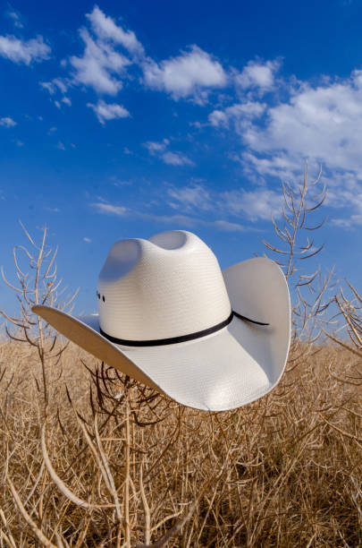 istock Cowboy hat in an rapeseed field 1404911460