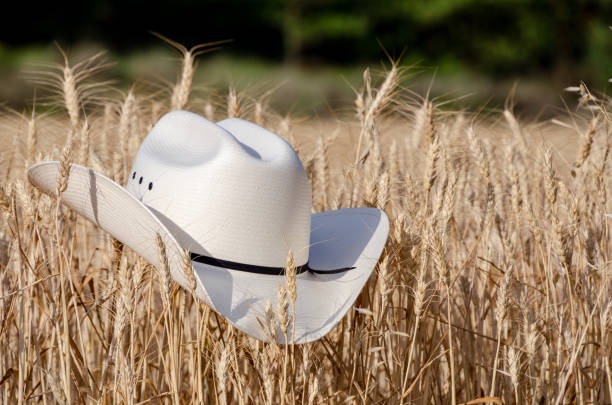 istock Cowboy hat in a wheat field 1404911485