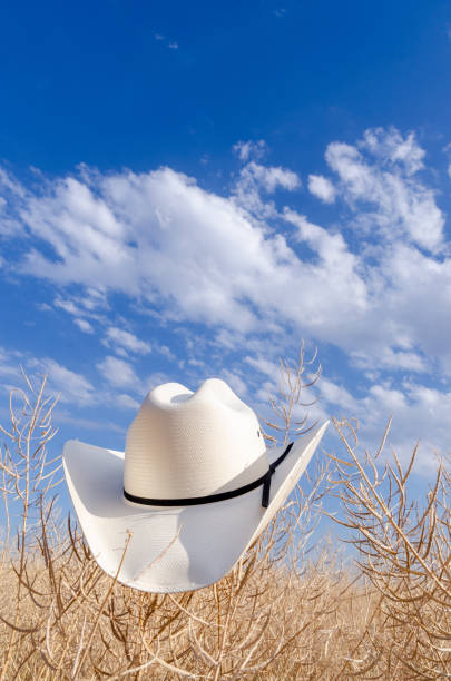istock Cowboy hat in an rapeseed field 1404911492