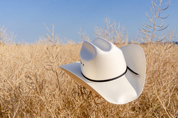 istock Cowboy hat in an rapeseed field 1404911565