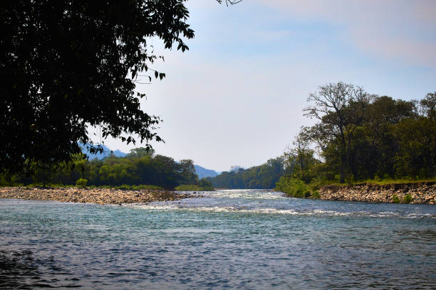 istock River crossing through two coasts with grass and a cloudy sky with a tree in the foreground in the Filobobos river of Martínez de la Torre Veracruz 1404912169