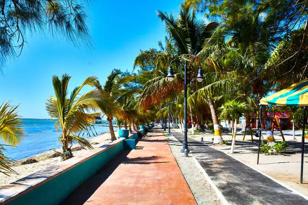 Boardwalk with umbrellas and palm trees and a blue sea on watery island Campeche