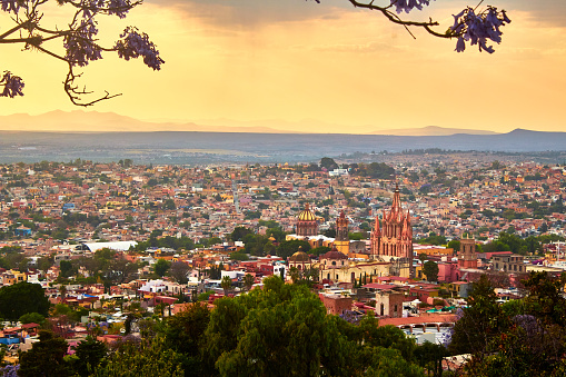 City at sunset with mountains in the background and a yellow sky with clouds and a tree in the foreground in San Miguel de Allende Guanajuato