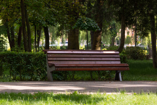 istock Old wood bench in a park 1404917240